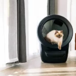 Litter-Robot Not Connecting to WiFi